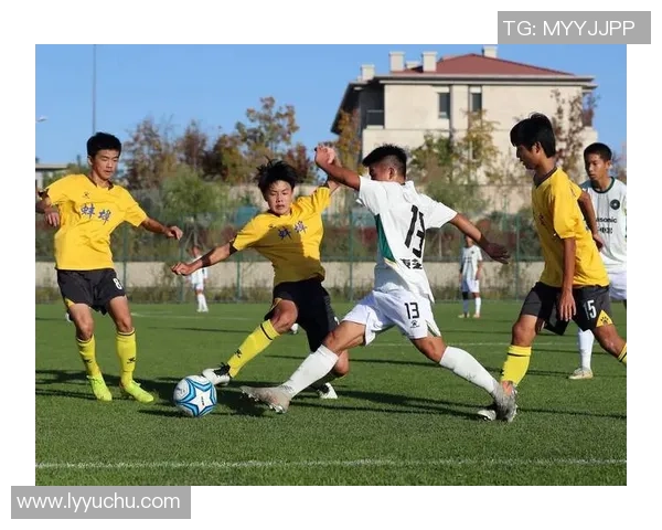 足球的复兴之路：从青训体系到职业联赛的全面提升与发展探讨