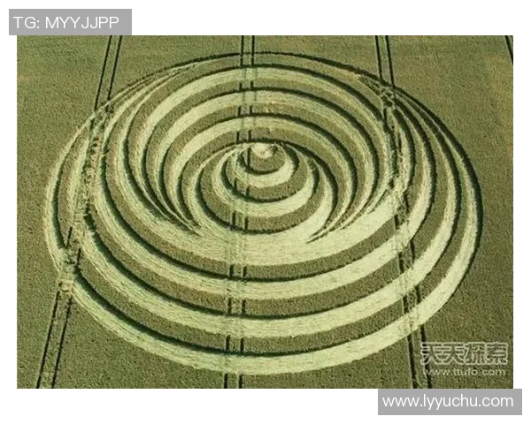 足球UFO探索奇幻世界揭秘外星人对足球的热爱与影响